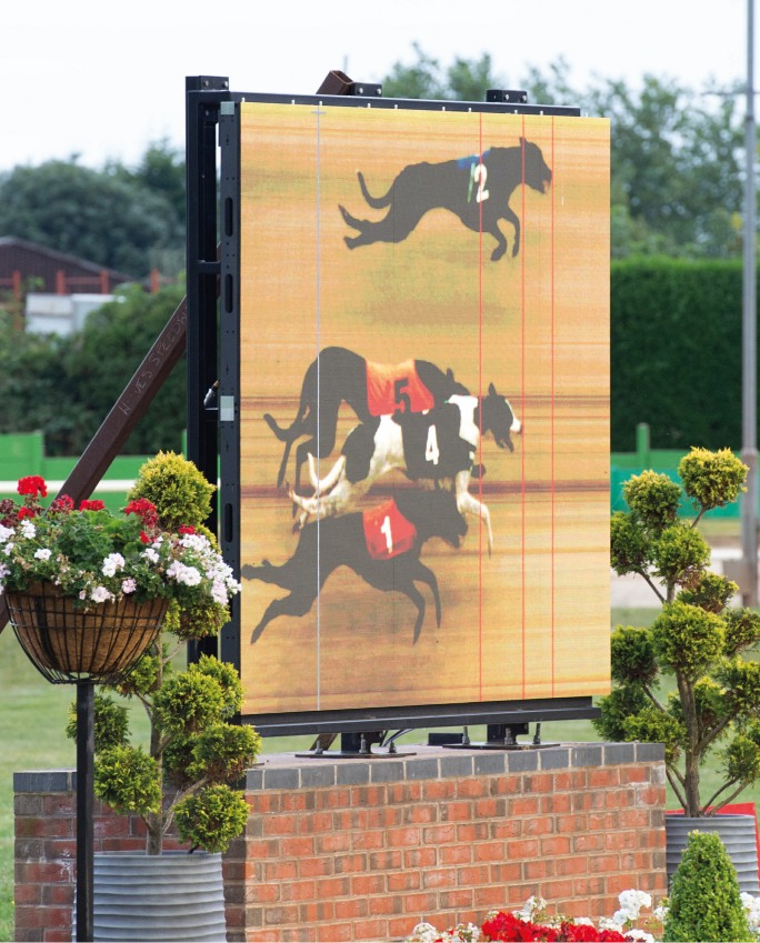 Photo finish for Summer Stayers 1st semi final displayed on the big screen at Monmore - Coonough Crow (2) Droopys Clue (4) going through; Swift Depot (5) and New Destiny (1) missing out Monmore 17th August 2024